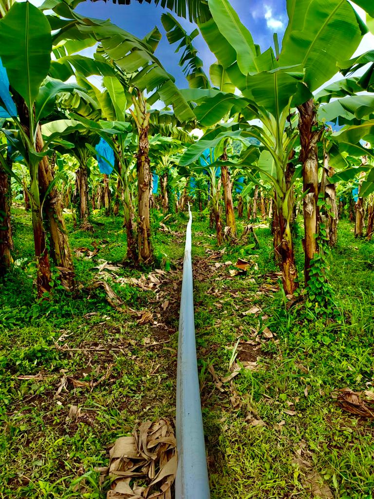 oil_gas_pipeline_Venezuela_pipe_flexpipe
